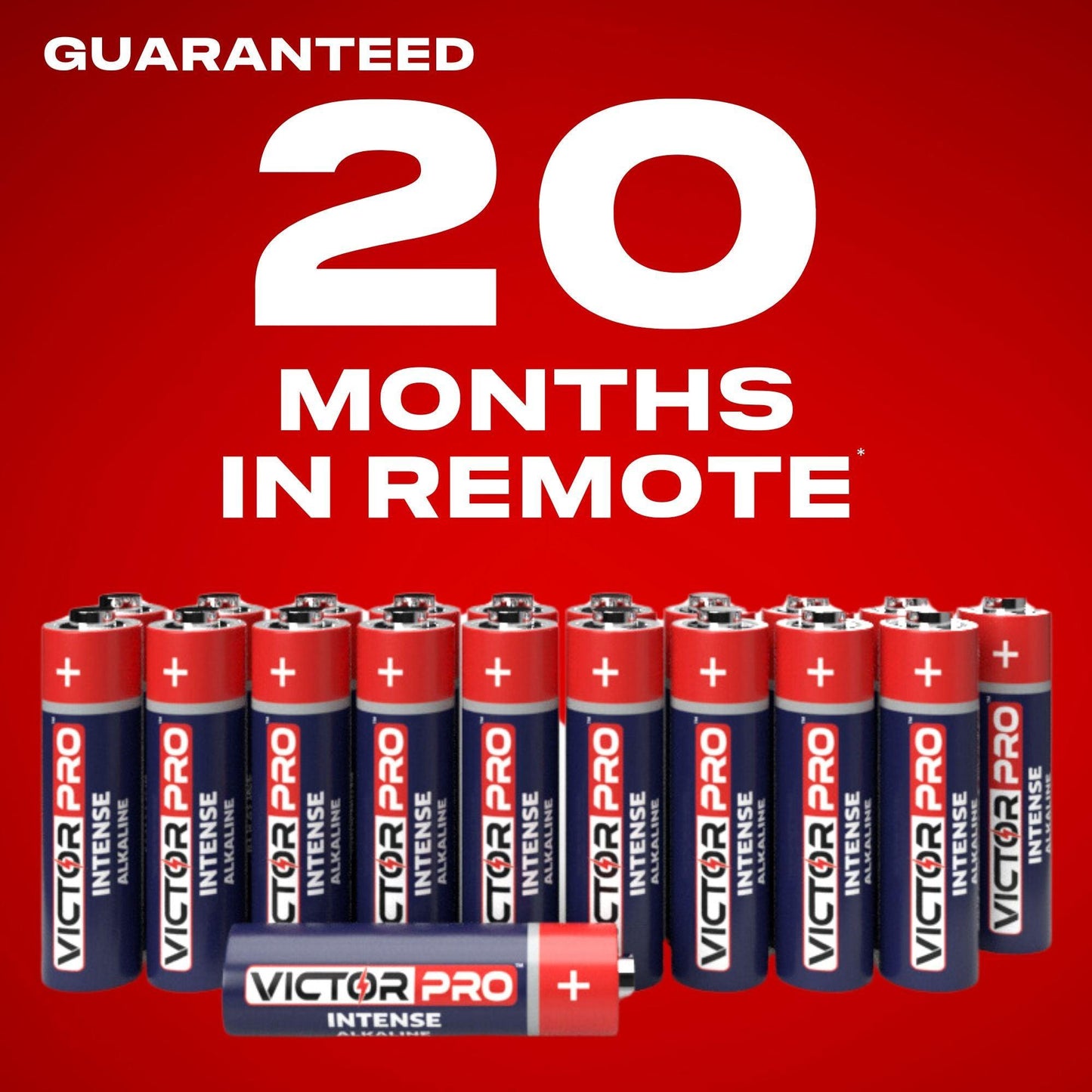 VictorPro Intense Alkaline Battery 12+ 8 Free - Guaranteed 20 Months In Remote - Pack of 20 - VictorPro